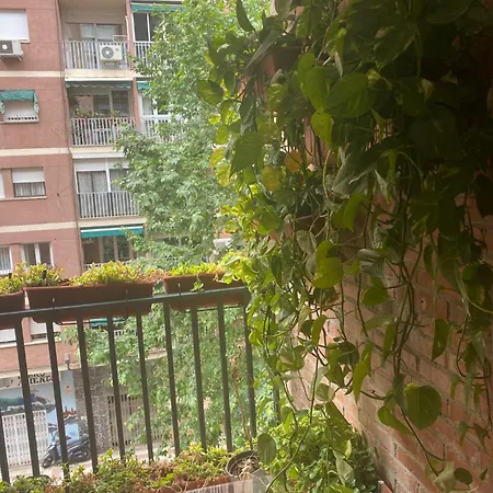 Poeta Zorrilla Granada