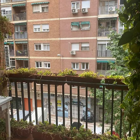 Poeta Zorrilla